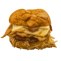 20251020_1856_Gourmet Burger Delight_remix_01k81sx6m5en0smfj6v90e2ttk